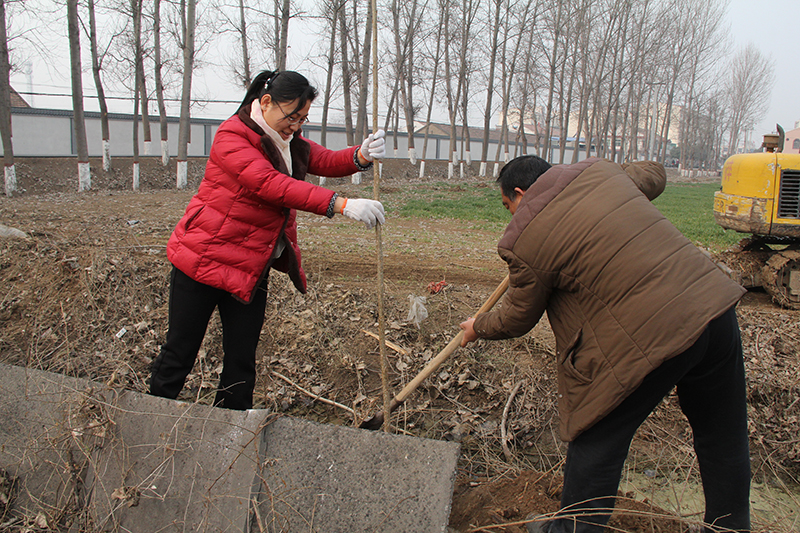 博農(nóng)集團領(lǐng)導(dǎo)、基層黨政負責(zé)人等同志積極參加植樹活動
