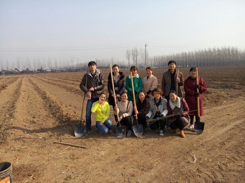 博農(nóng)集團領(lǐng)導(dǎo)、基層黨政負責(zé)人等同志積極參加植樹活動